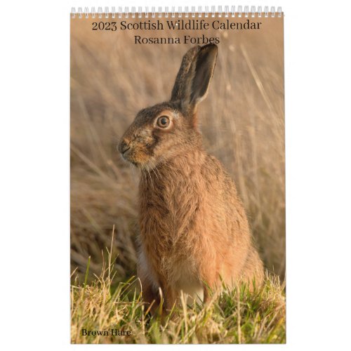 Scottish Wildlife Calendar 2023