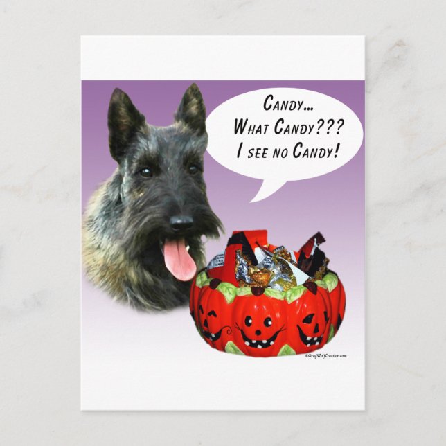 ScottishTerrier Halloween Candy Postcard (Front)