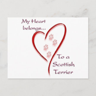 ScottishTerrier Heart Belongs Postcard