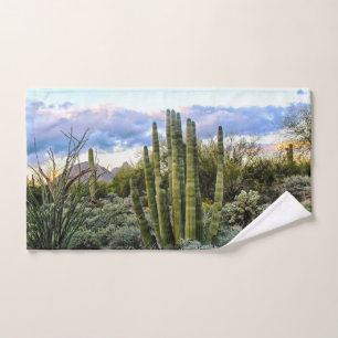 Scottsdale Succulent Sunset Bath Towel Set
