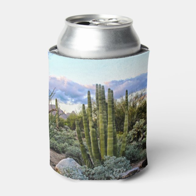 Scottsdale Succulent Sunset Can Cooler (Can Front)