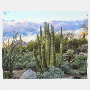 Scottsdale Succulent Sunset Fleece Blanket