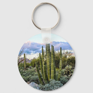 Scottsdale succulent Sunset Keychain