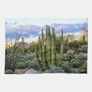 Scottsdale Succulent Sunset Kitchen Towel