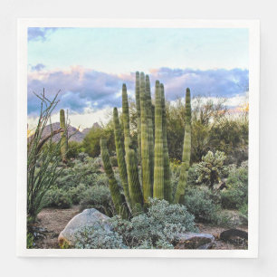 Scottsdale Succulent Sunset Paper Dinner Napkins