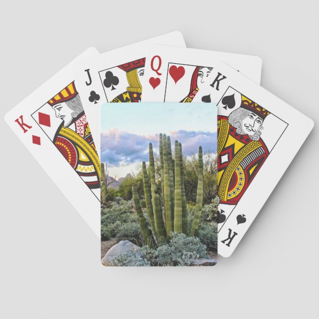 Scottsdale Succulent Sunset Poker Cards (Back)