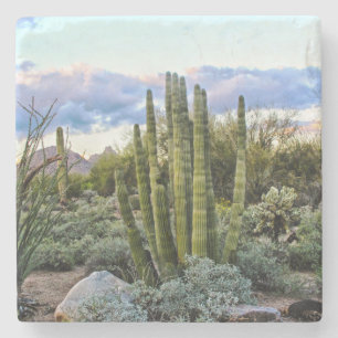 Scottsdale Succulent Sunset Stone Coaster