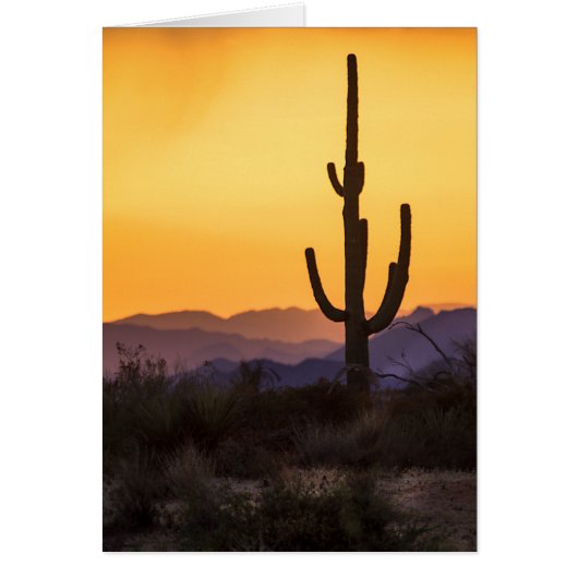 Scottsdale sunset before the storm cards (Front)