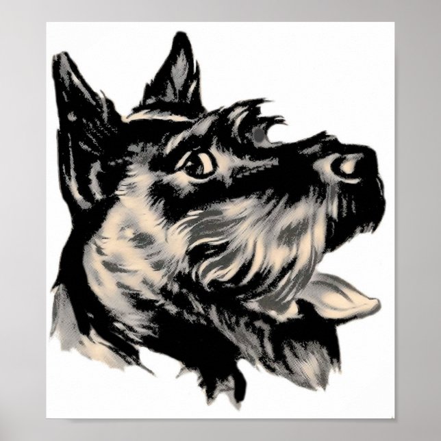 Scotty Dog Poster (Front)