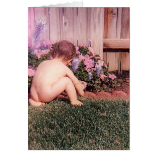 Scotty's Garden Cards (Front)