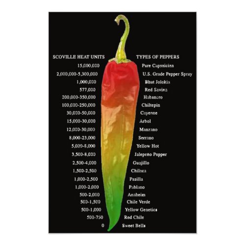 Scoville Heat Chart  Types of Pepper  Photo Print