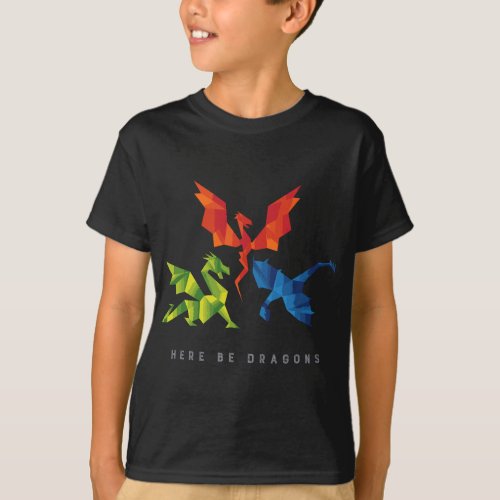 SCP_1762 Where The Dragons Went Origami Style Drag T_Shirt