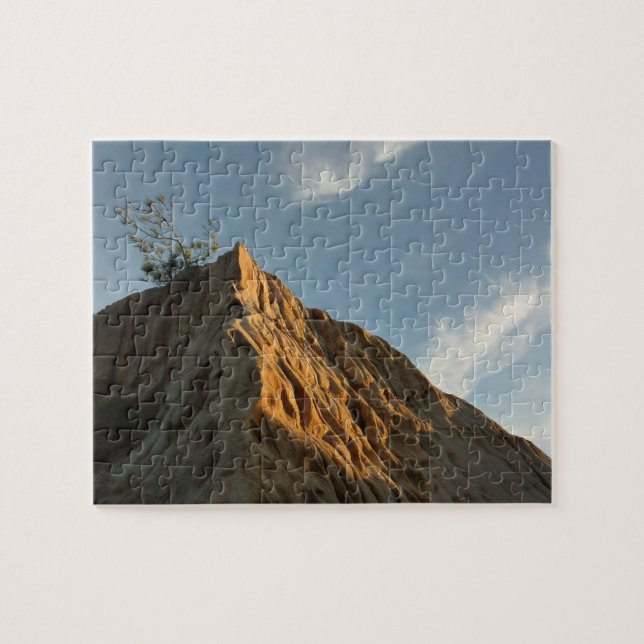 Scraggly Torrey Pine at Sunset California Coast Jigsaw Puzzle (Horizontal)