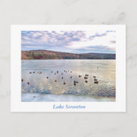 Scranton PA-Lake Scranton Post Card-Ducks