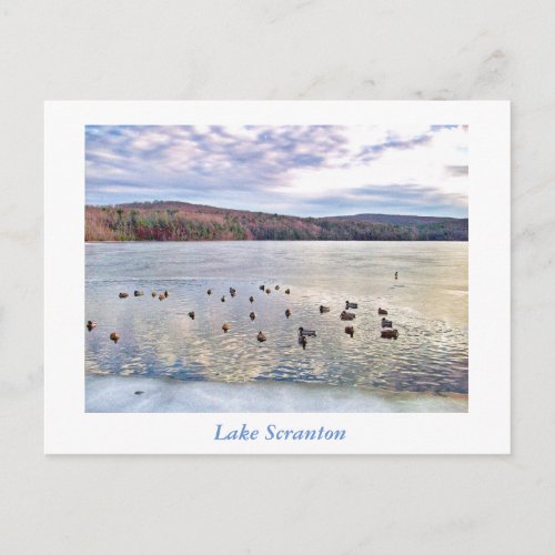 Scranton PA_Lake Scranton Post Card_Ducks Postcard