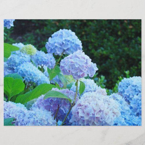 Scrapbook paper Blue Hydrangea Flowers Garden