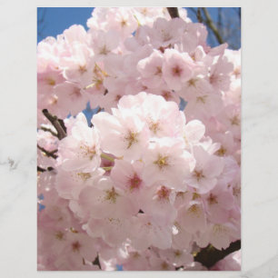Scrapbook paper Pink Spring Tree Blossoms paper
