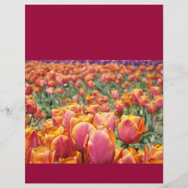 Scrapbooking paper Colorful Tulip Flowers Festival (Front)