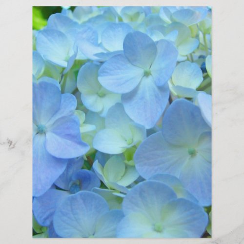 Scrapbooking paper Floral Theme Blue Hydrangeas