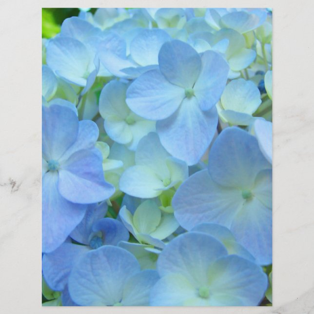 Scrapbooking paper Floral Theme Blue Hydrangeas (Front)