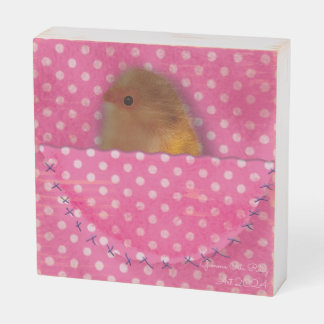 Scrapbooking storage, cute bird wooden box sign