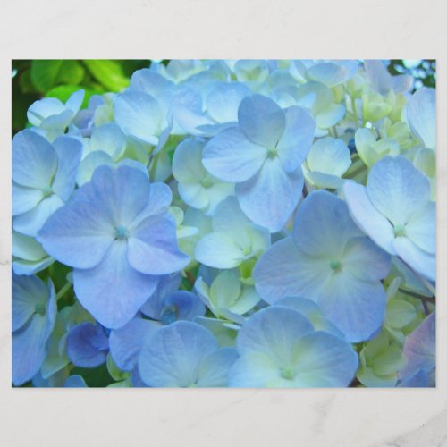Scrapbooking Theme paper Blue Hydrangea Flowers