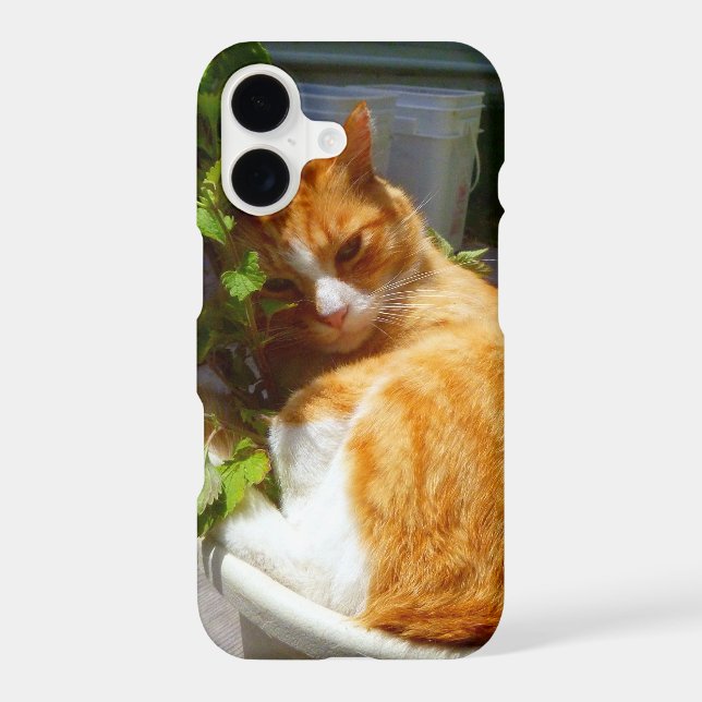 Scrapper in a pot Case-Mate samsung galaxy case (Back)