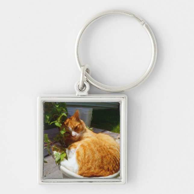 Scrapper in a pot keychain (Front)