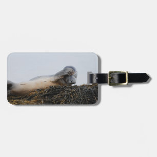 Scratching Seal Luggage Tag
