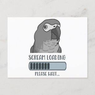 Scream Loading African grey  Postcard