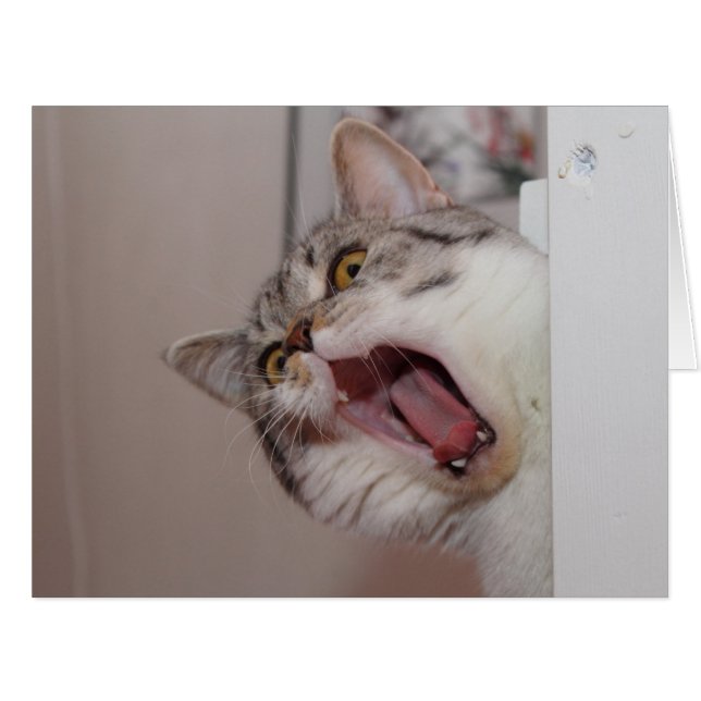 Screaming British Shorthair Cards (Front Horizontal)
