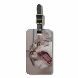 Screaming British Shorthair Luggage Tag