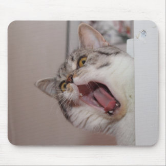 Screaming British Shorthair Mouse Pad