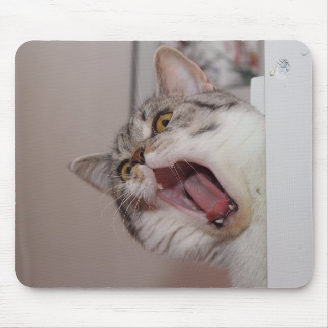 Screaming British Shorthair Mouse Pad (Front)