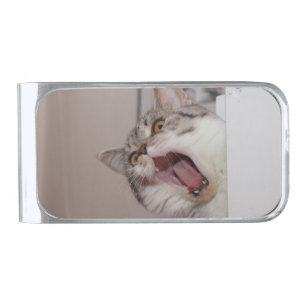 Screaming British Shorthair Silver Finish Money Clip