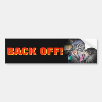 Screaming Bumper Cat Says Back Off Bumper Sticker by talkingbumpers at Zazzle
