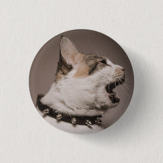 Screaming Calico Cat Pin