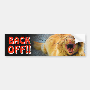 Screaming Cat Back Off Tailgater Meme Bumper Sticker