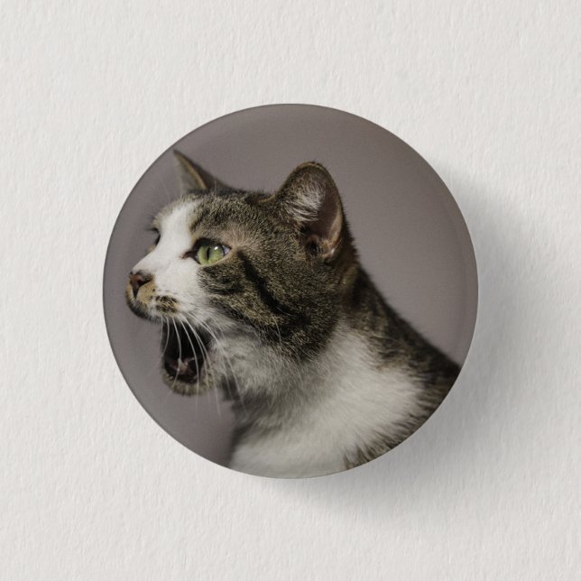 Screaming Cat Pin (Front)