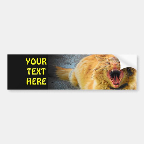 Screaming Cat Plus your text Bumper Sticker
