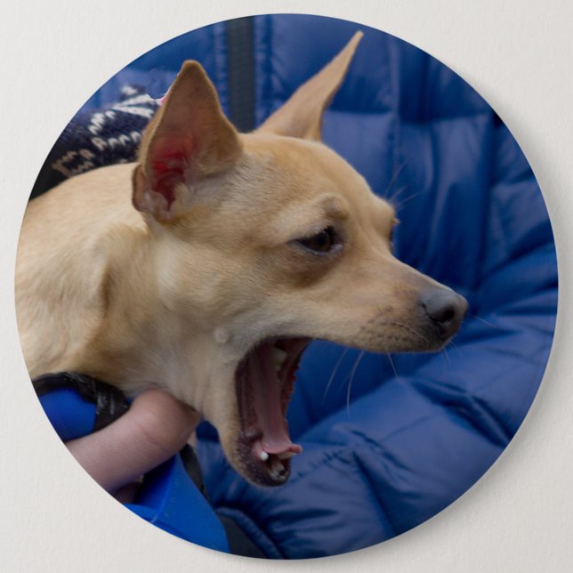 Screaming Chihuahua Button (Front)