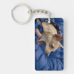 Screaming Chihuahua Keychain
