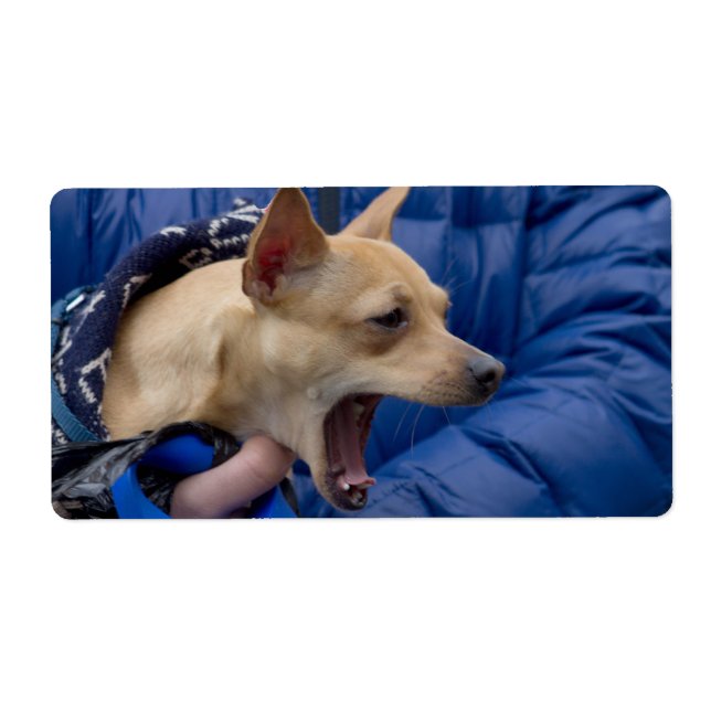 Screaming Chihuahua Label (Front)