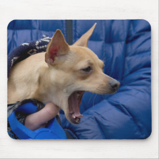 Screaming Chihuahua Mouse Pad