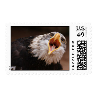 [Image: screaming_eagle_postage_stamp-r835da2e76...vr_324.jpg]