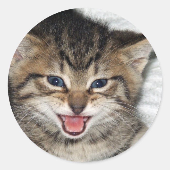 Screaming Kitty Round Sticker