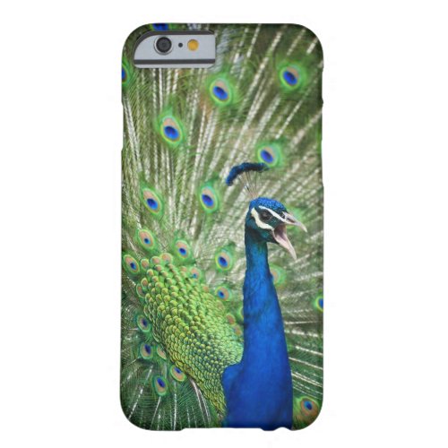 Screaming peacock barely there iPhone 6 case