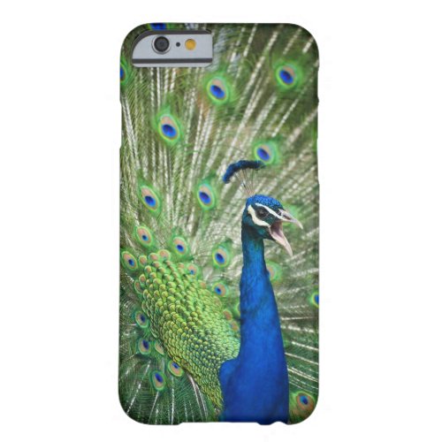 Screaming peacock barely there iPhone 6 case
