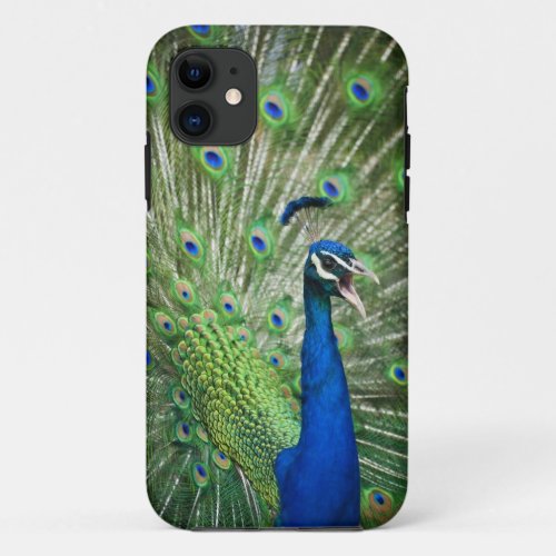Screaming peacock iPhone 11 case