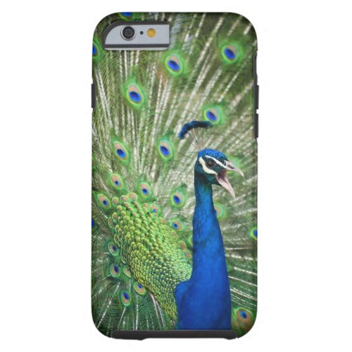 Screaming peacock tough iPhone 6 case